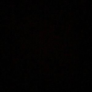 Meet your Posher, Will